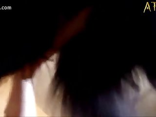 Animal Pussy Porn Gif