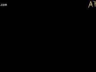 Animal Pussy Porn Gif