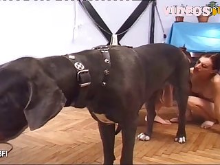 All Animal Porn Videos