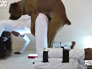 Zoofilia Videos De