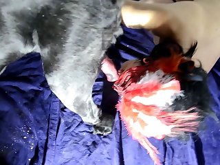 Porno Pareja Zoofilia