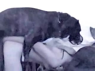 Videos De Zoofilia 2024