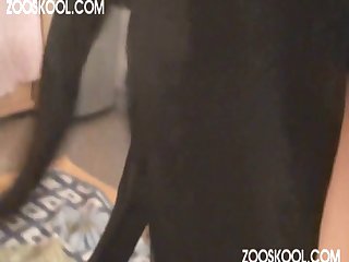 Xxx Zoofilia Girl