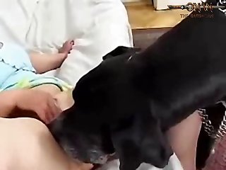Relatos Eroticos Zoofilia