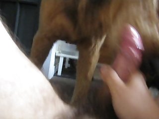Xxx Legal Age Teenager Porn