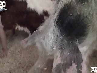 Xxx Porn Hentai 2025