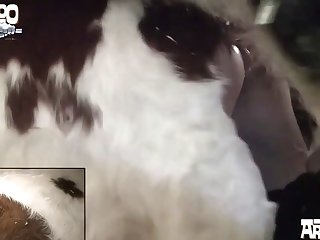 Xxx Porn Hentai 2025