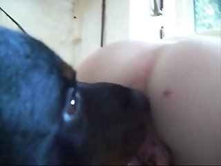 Rape Lust Xxx Porn