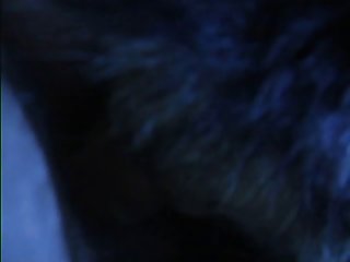 Christmas Xxx Porn Videos