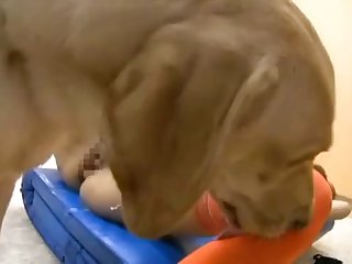Premature Ejaculation Porn Xxx