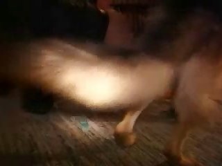 Big Boobs Xxx Hentai Porn Movies