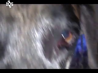 Boy Meets Harem Anime Xxx Porn