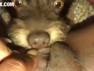 Big Cock Dp Porn Xxx