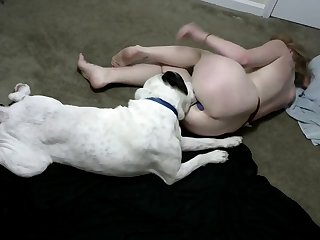Amateur Dominicana Xxx Porn