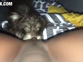 Porn Xxx Vidao