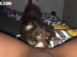 Porn Xxx Vidao