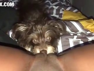 Porn Xxx Vidao