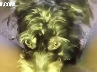 Romantic Xxx Hd Porn
