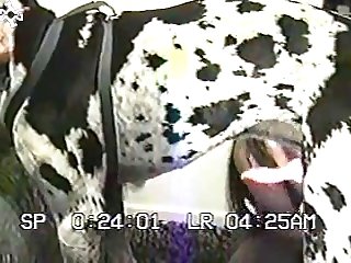 Xxx Porn Video 2023