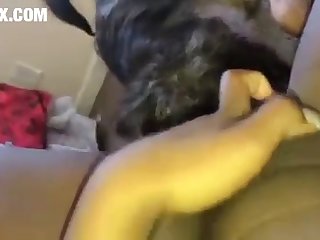 Romantic Xxx Hd Porn