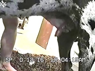 Xxx Porn Video 2023