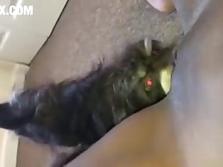 Romantic Xxx Hd Porn