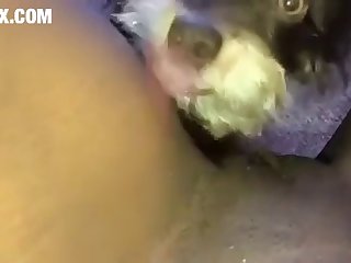 Romantic Xxx Hd Porn