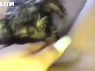 Romantic Xxx Hd Porn
