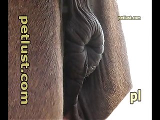 Follando A Mama Dormida Xxx Porn