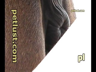 Follando A Mama Dormida Xxx Porn