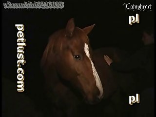 Lady Godiva Porn Xxx Porn