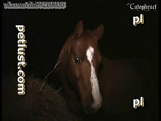 Lady Godiva Porn Xxx Porn