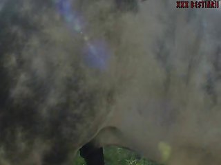 Xxx Porn Sexvid
