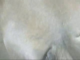 Hot Xxx Big Boobs Porn