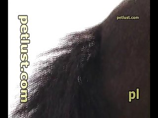 Milf Anal Strap On Porn Xxx