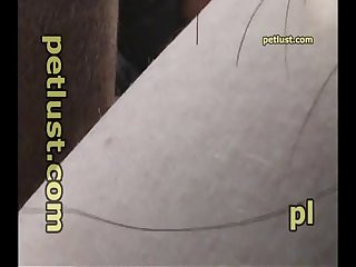Milf Anal Strap On Porn Xxx