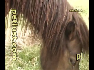 Milf Anal Strap On Porn Xxx