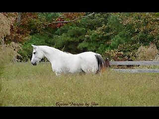 Rape Sister Porn Xxx