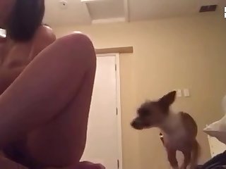 Xxx Gay Animal Sex