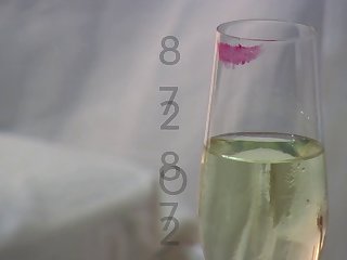 Bohemian Animal Sex Hd