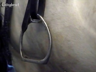 Zoo Porn Xxx