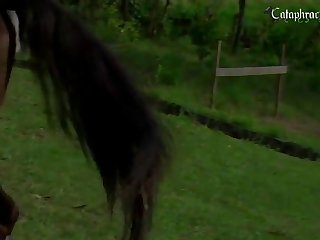 Indian Zoo Porn