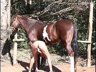 Three-ring circus Porn Sex