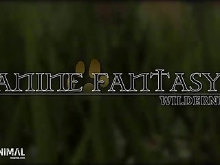 Animal Sex Fun