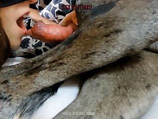 Undressed Uncultivated Sex Gif