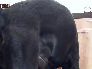 Xnxx Xxx Vidios