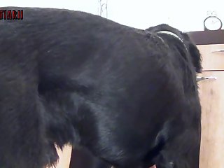 Xnxx Xxx Vidios