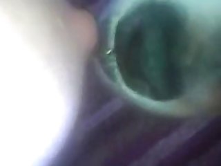 3d Dog Porn Video