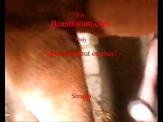 Hun Distribute Dog Porn