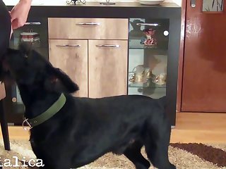 Logan Guminski Porn Video Dog